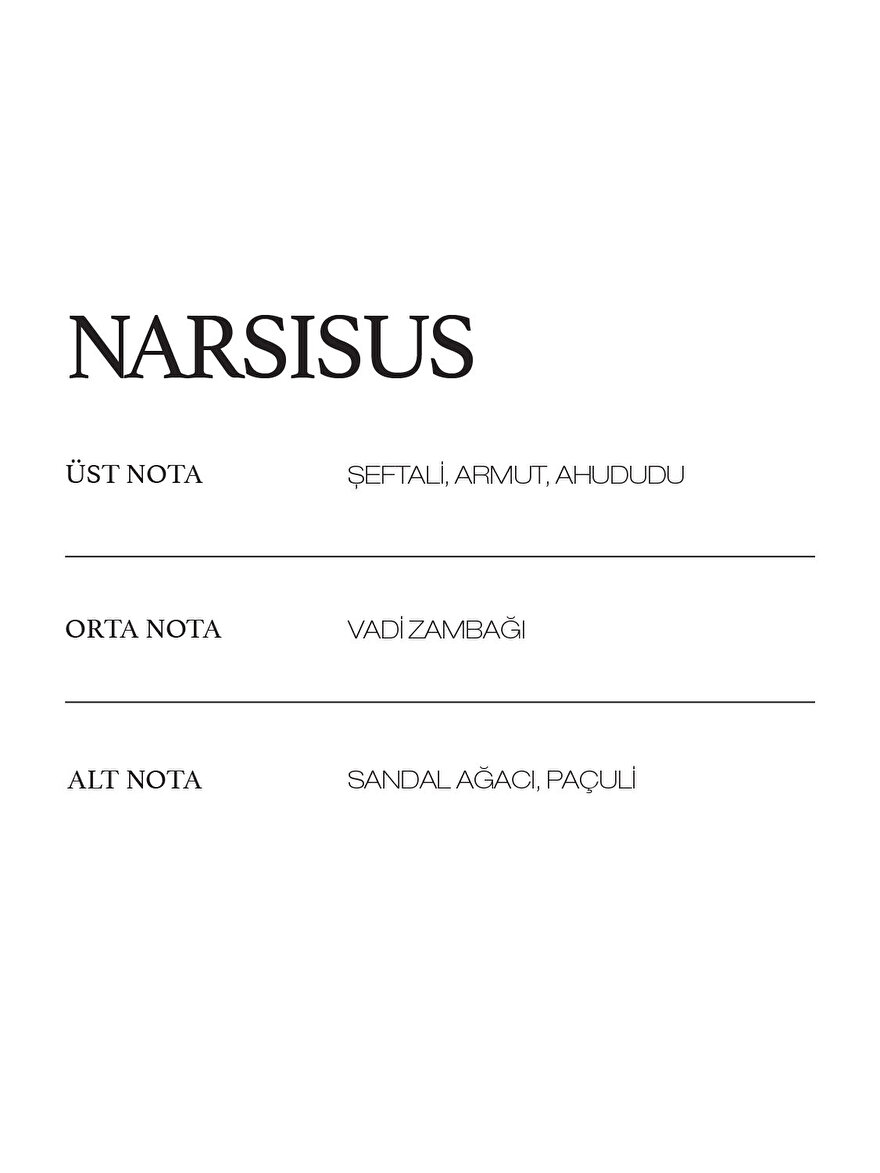 Nocturne NARSISUS IX PARFÜM 50 ML